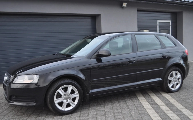 Audi A3 cena 24499 przebieg: 220000, rok produkcji 2008 z Legnica małe 781